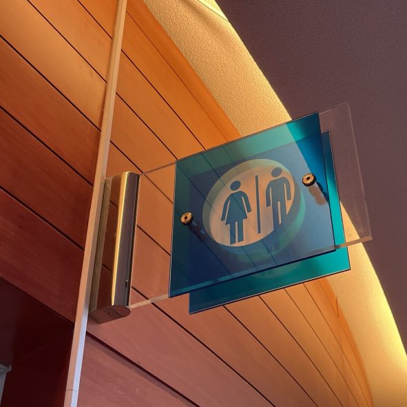 Smart Toilet - Entrance